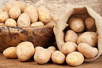 宫崎英高承认其非PVP爱好者：《The Duskbloods》依旧有PVE要素